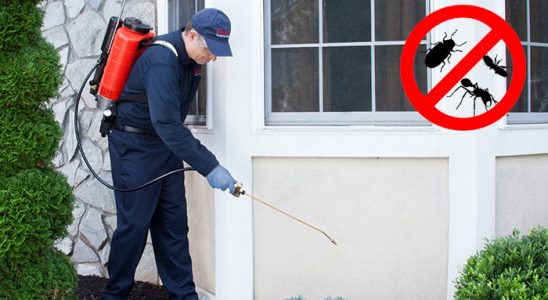 Aybastı Hamam Böceği İlaçlama böcek ilaçlama ve haşere kontrolü — ilaclama-tr.com